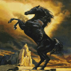 Borduurpatroon Black Stallion - Kustom Krafts