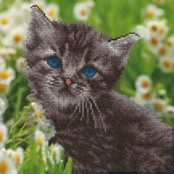 Diamond Art Kitten - Leisure Arts