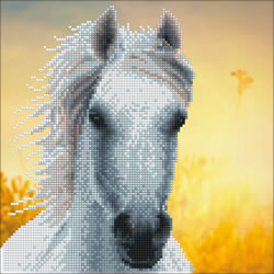 Diamond Art White Horse - Leisure Arts