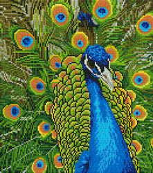 Diamond Art Peacock - Leisure Arts