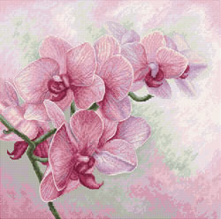 Cross stitch kit Graceful Orchids  - Luca-S