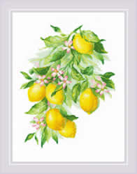 Borduurpakket Bright Lemons - RIOLIS
