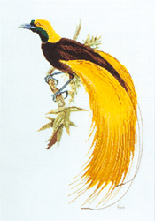Borduurpatroon Greater Bird of Paradise - Ross Originals