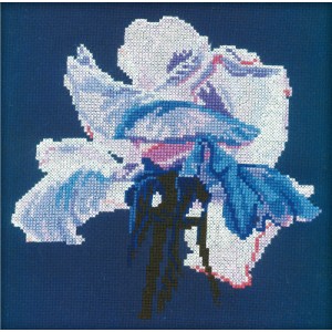 Borduurpakket Violet rose -...
