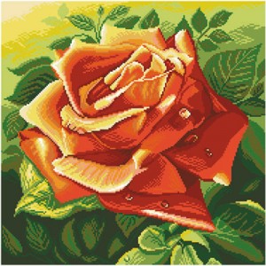 Voorbedrukt Aida Red Rose -...