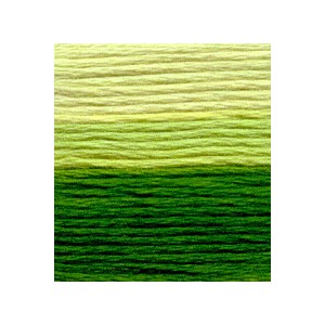 Venus Borduurgaren ombré 25...