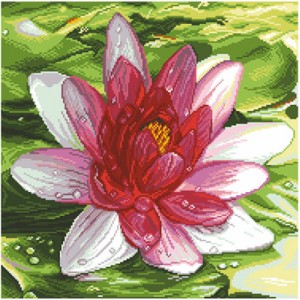 Pre-printed Aida Water Lily...