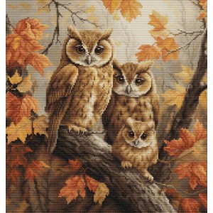 Borduurpakket The Owls...