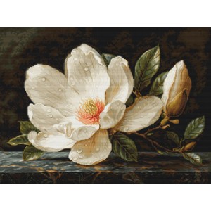 Petit Point stitch kit The...