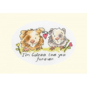 Cross stitch kit Eleanor...
