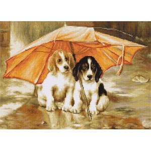 Petit Point borduurpakket...