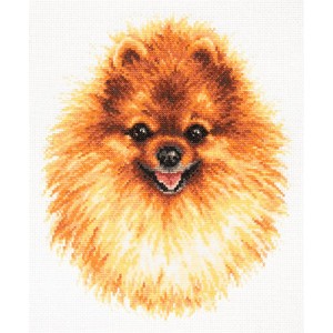 Borduurpakket Pomeranian -...