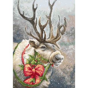 Petit Point borduurpakket...