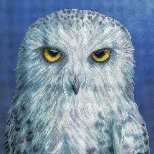 Cross stitch kit Rachel...
