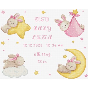 Cross stitch kit Baby Girl...