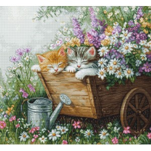 Borduurpakket Kittens'...