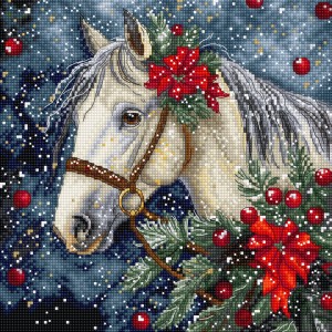 Borduurpakket Winter Horse...