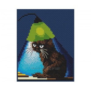 Cross stitch kit Why Am I...