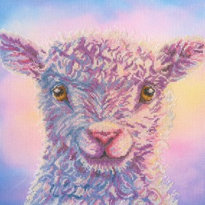Borduurpakket Rachel Froud...