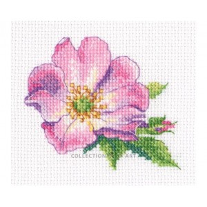 Borduurpakket Wild Rose - RTO