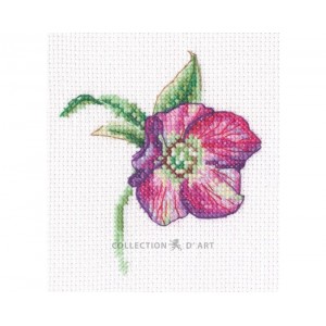 Cross stitch kit Hellebore...
