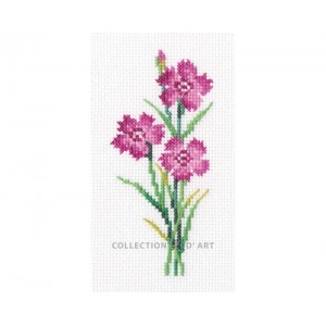 Borduurpakket Carnation - RTO