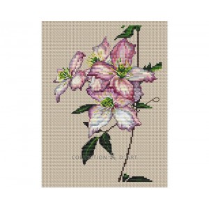 Borduurpakket Clematis -...