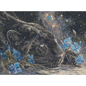Borduurpakket Starry Dreams...