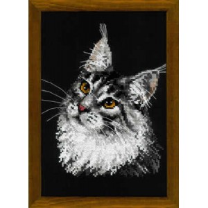 Borduurpakket Maine Coon -...