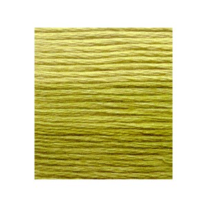 Venus Borduurgaren ombré 25...