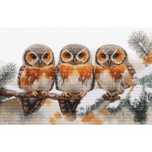 Cross stitch kit Owls in...