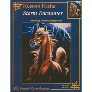 Borduurpatroon Storm...