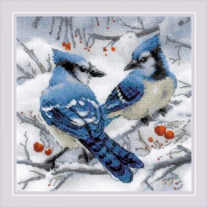 Borduurpakket Blue Jays -...