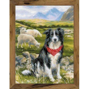 Cross stitch kit Border...