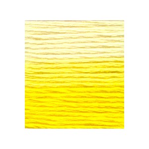 Venus Borduurgaren ombré 25...