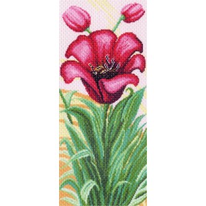 Pre-printed Aida Tulips...
