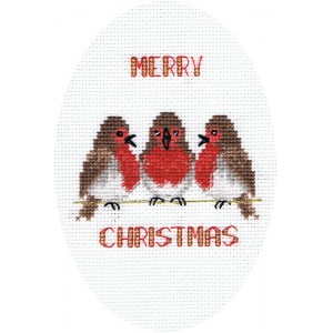 Borduurpakket Christmas...
