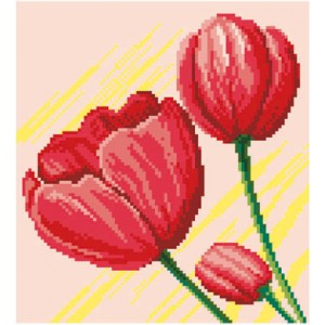 Voorbedrukt Aida Tulip...