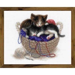 Borduurpakket Kittens in a...