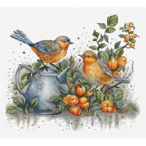 Borduurpakket Song of The...