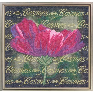 Borduurpatroon Cosmos -...