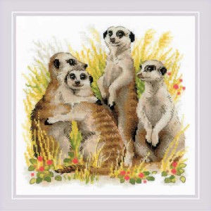 Borduurpakket Meerkats -...