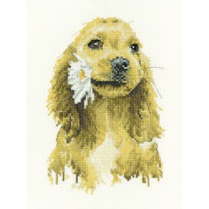 Cross stitch kit Daisy...