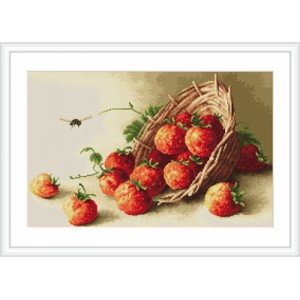 Petit Point borduurpakket...