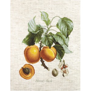 Cross stitch kit...