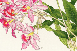Borduurpakket Bothy Designs - Orchid Blooms - Bothy Threads