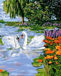 Painting by Numbers White Swans - Collection d'Art