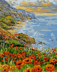 Painting by Numbers Poppy Coast - Collection d'Art