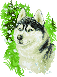 Diamond Painting Husky - Freyja Crystal