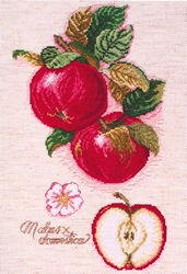 Cross Stitch Kit Apples - Janlynn